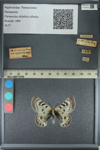 Media type: image;   Entomology 180416